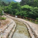 하선암 카라반 야영장 | 단양 하선암 카라반 야영장 2박 3일_23년 6월