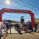 한반도주민협의회 | 서산 가을여행 추천｜2025년 서산국화축제 마지막날 다녀온 후기