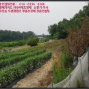 송계2리 마을회관 이미지