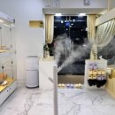 부산고양이분양 퍼스트캣 부산점 이미지