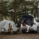 (주)뉴현대모터스 이미지