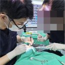 평촌심미치과의원 이미지