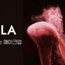 베스트프리 주식회사 파이낸셜뉴스