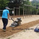 대전대룡초등학교 이미지