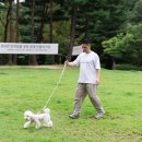 어니스트독(HONEST DOG) 이미지