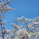 햇살마루 이미지