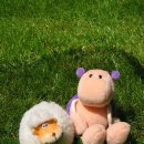 거인공인중개사사무소 이미지