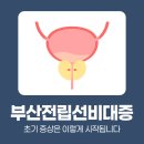 서면엘비뇨의학과의원 | 부산 서면 비뇨기과 배뇨 기능의 시원한 개선으로