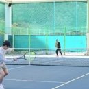 청송군민운동장 테니스장 이미지