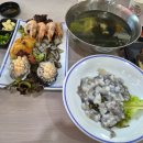 세종 백두회수산 참돔세트 후기｜직원들과 점심으로 즐긴 가성비 좋은 세종 횟집