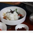 신리할머니 Daum카페