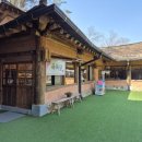 힐링(만인산) | [오늘의 카페] 옛터 민들레족욕/대전 족욕카페 만인산뷰 힐링 후기