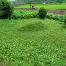 언덕위에 펜션 이미지