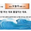 대로3-77 티스토리