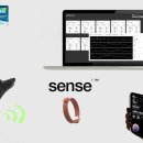 금호동물병원 이미지