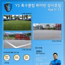 와이에스아이 이미지