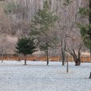 태기산 아름채 관광농원 이미지