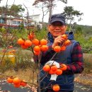 태안양계장 이미지