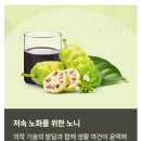 천연 항생제, 노니 이미지