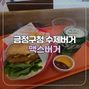 금정산부곡온천 | [부산/금정구] 금정구청 수제버거 맛집 맥스버거 부곡점 또간집 후기