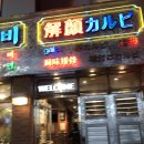 해안생돼지
