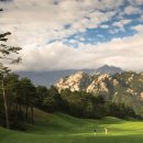 플러스골프아카데미 이미지