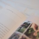 초록초록 가드닝 이미지