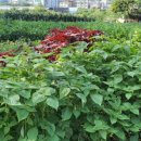 윤선농장 이미지