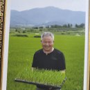 란경식당 네이버블로그
