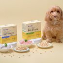 펫라이프 이미지