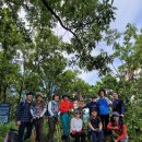 ＜1대간 9정맥＞- 대한민국 산 그림자가 되어 대 종주를 마친 이 시대의 영웅들 - story-01, 이미지