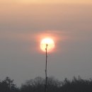 한솔목장 이미지