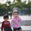 지인 티스토리