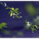 동쪽으로 이미지