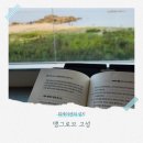 시고르브 | [고성 워케이션] 맹그로브 고성에서 워케이션 즐기기 (워크라운지 소개)