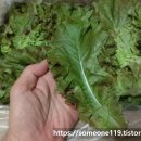 영암상회 이미지