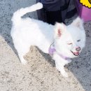 (주)동실 이미지