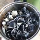 백미리 공중화장실 이미지