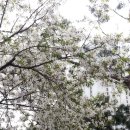 한국폴리텍 I 대학 서울강서캠퍼스 이미지