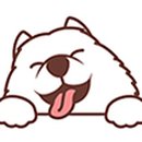 이쁘개 아름답개 이미지