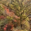 청계 맑은숲공원 이미지