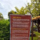 화원동산 전망대 이미지