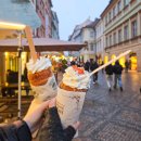 예스짐커피 | 유럽 세미패키지 가서 6kg 쪄온 현실 후기 (혼자 노노 동행 예스)