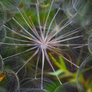 골프존파크 내수스크린 이미지