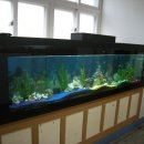 서울서초초등학교 이미지