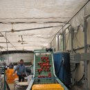 정상태농장 이미지