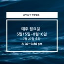 [8주과정]필라테스 요가 이미지