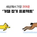 엄청나게 완벽한 작전/ / 카밀라 핀토나토 / 안수연 (옮긴이) /길벗어린이 2025-12-08 이미지