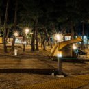 맹방 비치캠핑장 이미지