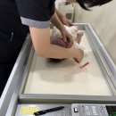 삼성드림아이소아청소년과의원 네이버블로그